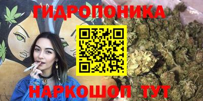 таблы Будённовск
